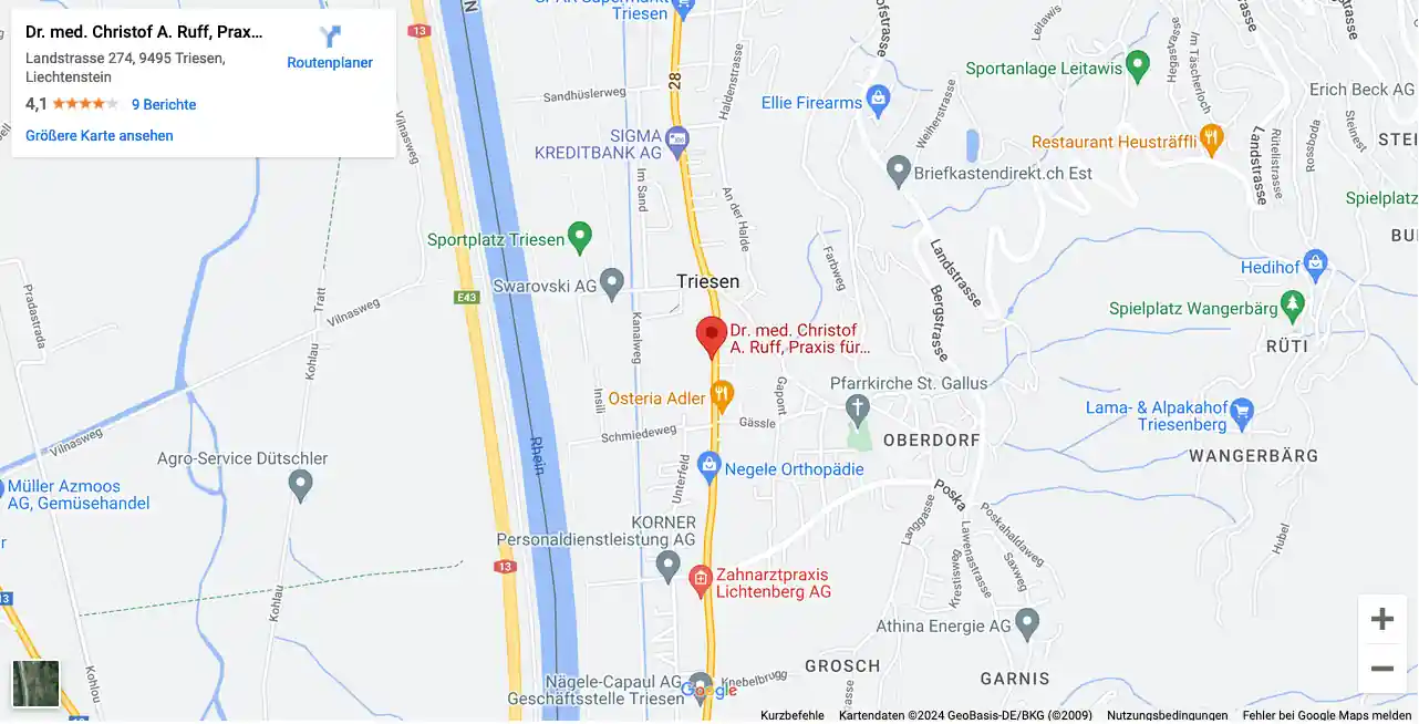Google Maps - Map ID d2e77945e6